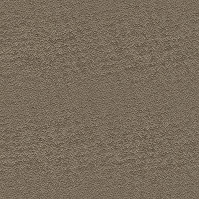 Grade C - Foundation Goose